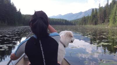 1082171_10151770181901539_2089132803_o (1)