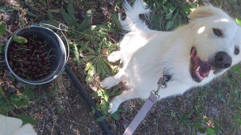 1146896_10151772259321539_281018580_o