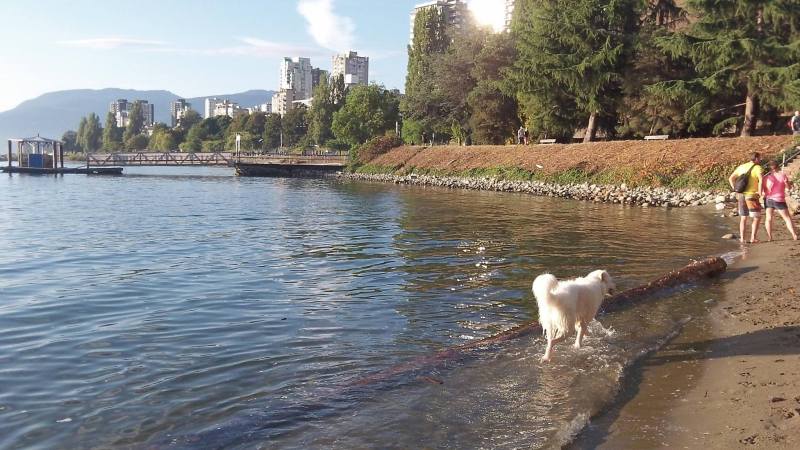 1278041_10151832376626539_1546497363_o