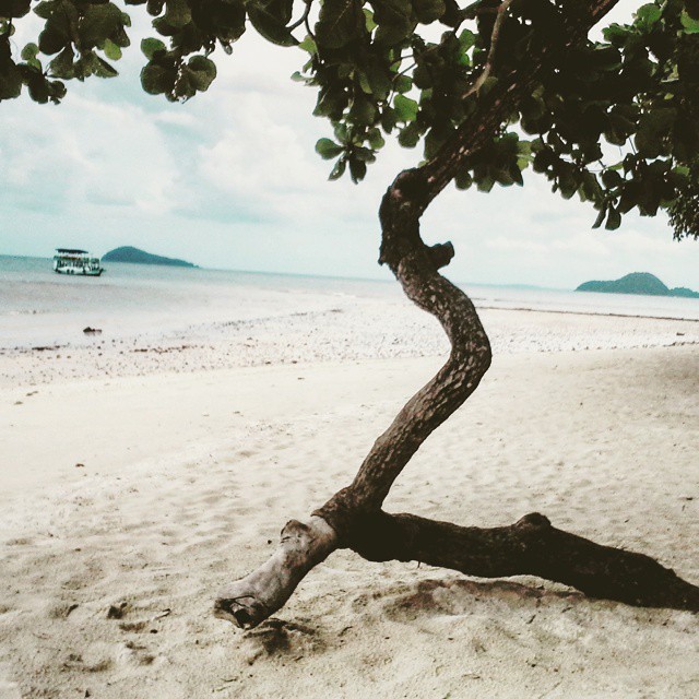 11209577_10153209868861539_5001956692223595256_n