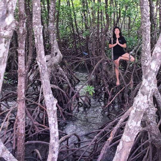 I definitely am not worried about the past or future when I'm in tree pose, balancing in the mangroves. Okay, maybe I was a little bit worried there might be snakes. 