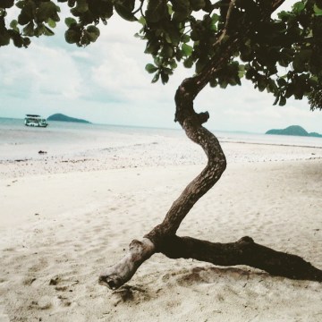 11378394_1436740513297670_1770921507_n